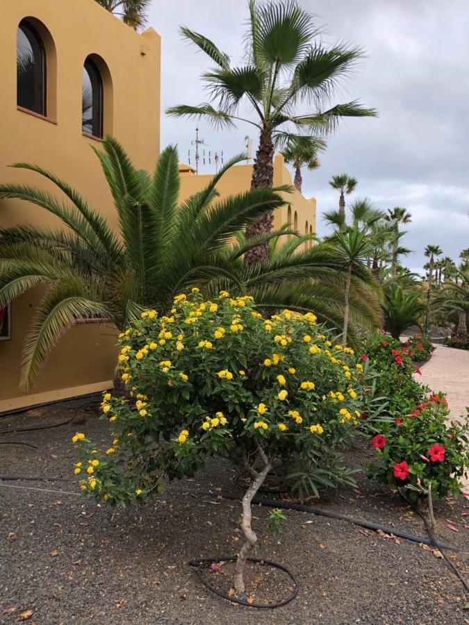 Casa Molly Apartment Corralejo Exterior photo